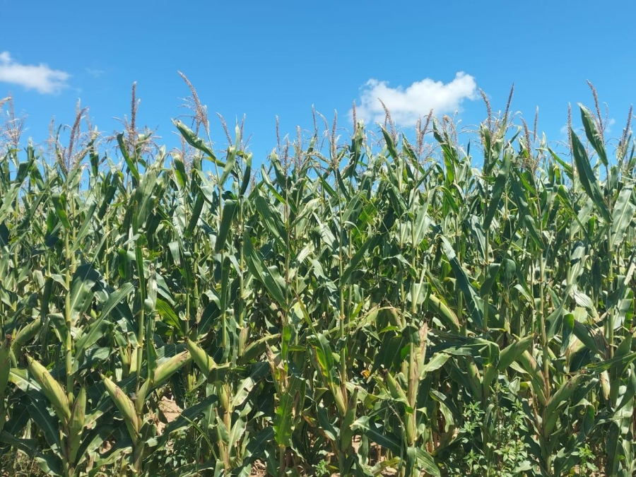 2 Bedroom Property for Sale in Bethlehem Rural Free State